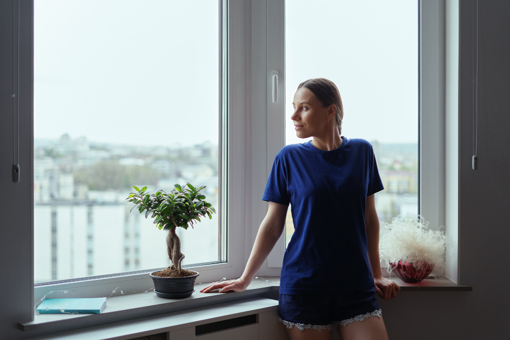 Jackson Window Styles